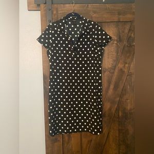 Black and white polka dot Ann Taylor Dress; Collar Womens Dress medium petite